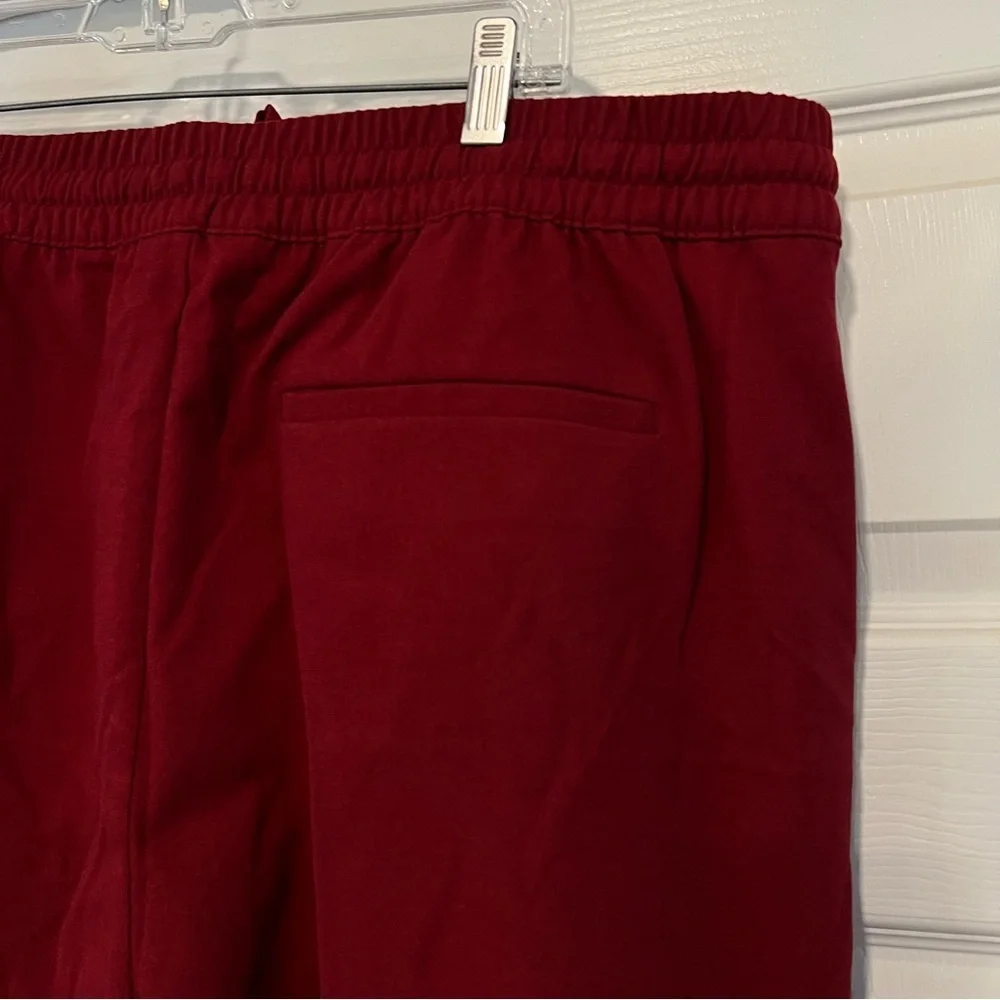 Banana Republic Red Chakra Easy Taper Flannel Pant Size XL It#L23